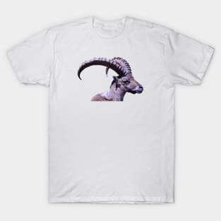 Capricorn II / Swiss Artwork Photography T-Shirt